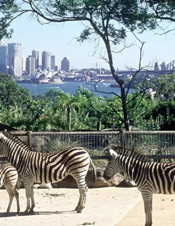 Taronga Zoo