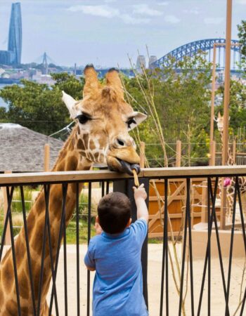 Taronga Zoo